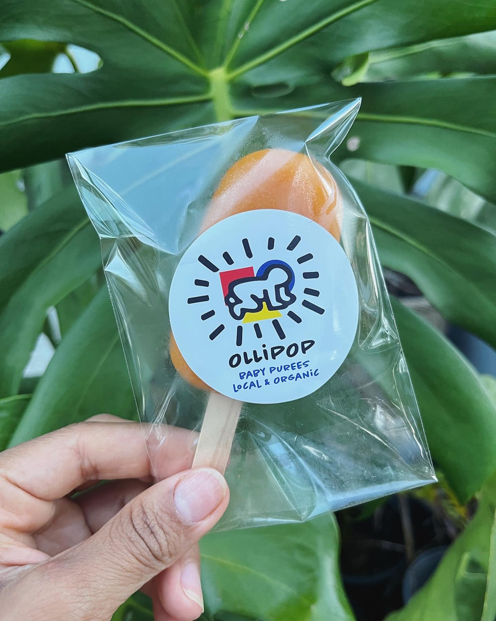 Large OlliPOPs