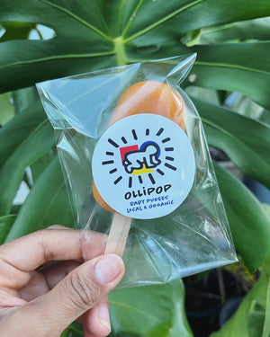 Small OlliPOPs